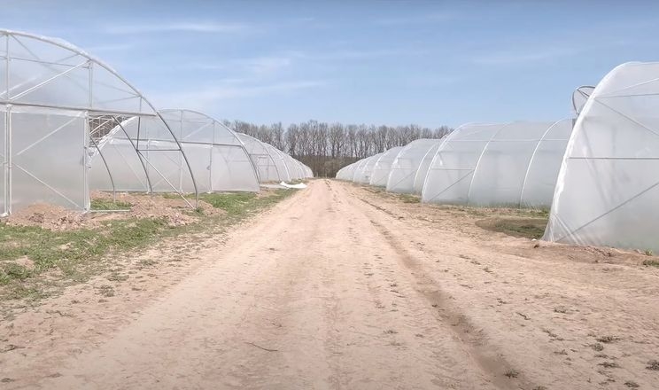 На Вінничині фермер з грантовою підтримкою будує 32 теплиці