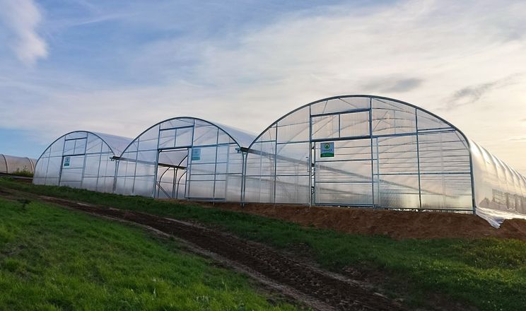 Форум «Інтенсивне овочівництво: заробити на теплиці» розкриє найуспішніші агротехнологічні практики закритого грунту