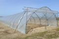Чернігівські фермери встановлюють теплиці для саджанців і розсади