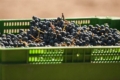 На Одещині група компаній з аргентинськими коренями вироблятиме вино