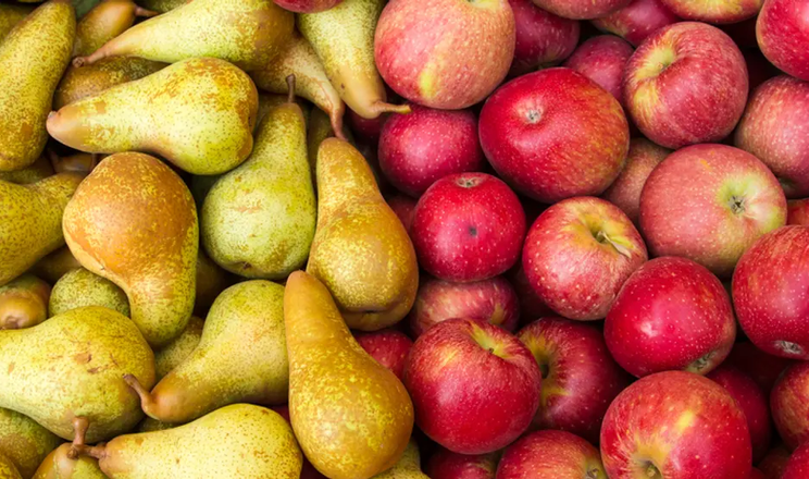 Європейські запаси яблук у березні на 2,2% нижчі, ніж торік