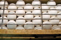 Шкаралупа яйця має бути проникною для газів і не дуже ‒ для водяної пари