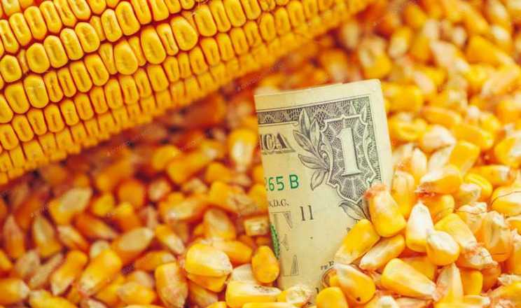 Ціни на кукурудзу в портах перетнули позначку 170$