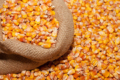 Спека у Європі сприяла активізації покупців української кукурудзи
