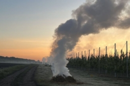 Паління тюків майже не захищає сад від приморозків — досвід господарства