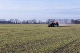 Весняне підживлення озимої пшениці потребує найвищого рівня забезпеченості азотом, – досвід