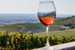 «Закарпаття» і «Закарпатське вино» стали географічними зазначеннями