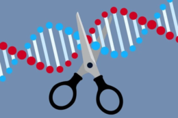 Syngenta надає доступ до технологій редагування геному та селекції