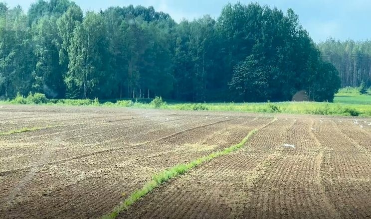 Фінські фермери мають проблеми з GPS біля кордону з росією