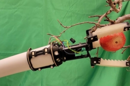 У США розробили роботизований захват для збору яблук