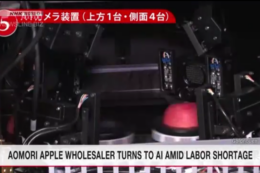 У Японії штучний інтелект сортує яблука через нестачу працівників