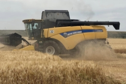 Аграрії Півдня намолотили 34,8 тис. тонн нового врожаю