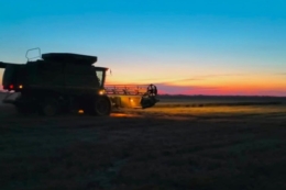 Жнива на Черкащині завершуються: зібрали понад 3,6 млн тонн збіжжя