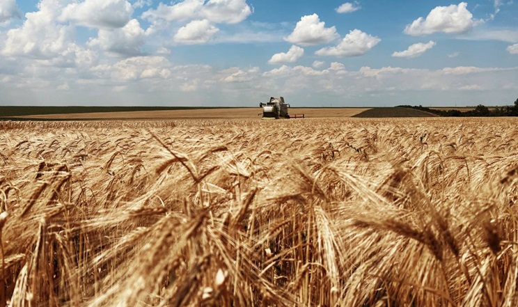 На Одещині прогнозують урожай на рівні минулого року