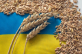 Україна з початку року збільшила експорт агропродукції на 5%