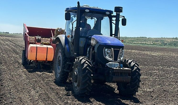 На Півдні висаджують картоплю другого обороту