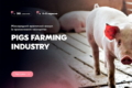 Нові знання й досвід свинарі отримають на Міжнародному форумі Pigs Farming Industry