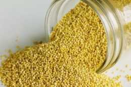 Експортні поставки проса скоротились на 33,4%