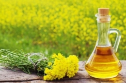 Експорт ріпакової олії понад удвічі перевищив торішні показники