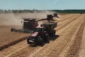 «Сігнет» зібрав озиму пшеницю з високим показником урожайності