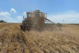 Весняна посівна на Житомирщині стартувала на тиждень пізніше, ніж торік