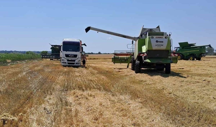 Обмолот ячменю завершили в «Агро-Ормс»: назвали врожайність