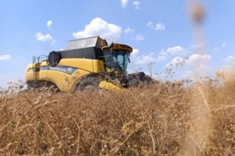 Завершуються жнива ранніх культур: зібрано майже 32 млн тонн зерна