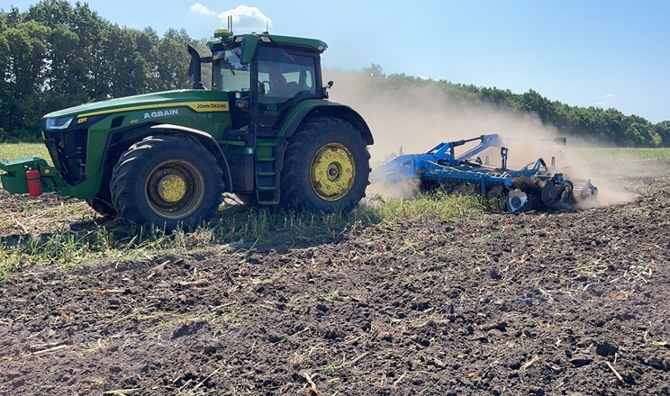 Як рання сівба впливає на продуктивність озимого ріпаку, – досвід