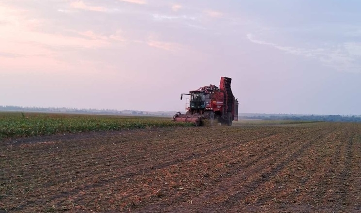 Збирання цукрових буряків стартувало «Агро-Ормс»