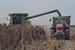 ГК «Агро-Регіон» завершила жнива кукурудзи з урожайністю 9,64 т/га