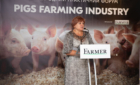 Міжнародний практичний форум PIGS FARMING INDUSTRY