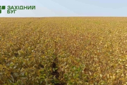 На формування рентабельності культур впливає насамперед чітке виконання технології – думка