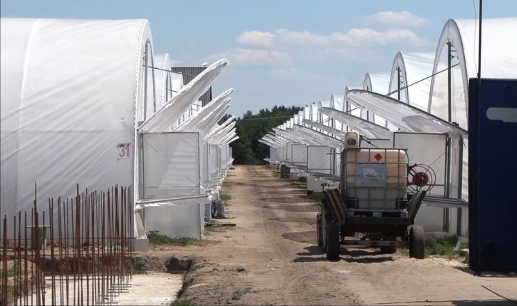 Переселенець з Криму заснував овочеве господарство на Волині