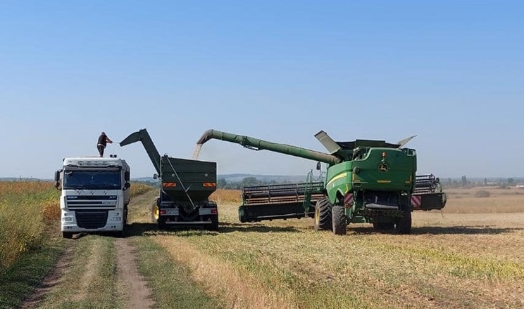 Збирання пізніх культур стартувало у «Фармгейт Україна»