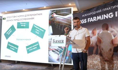 Міжнародний практичний форум PIGS FARMING INDUSTRY