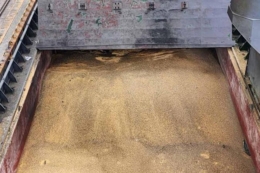 Україна ініціює будівництво продовольчих хабів на Близькому Сході