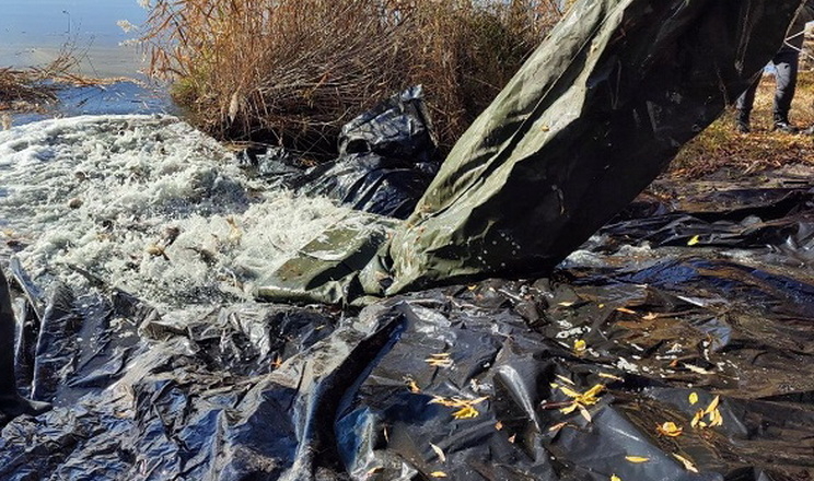 У водойми Хмельниччини й Дніпропетровщини випустили близько 30 тис. рибин