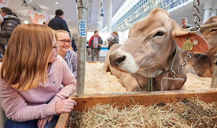 У Ганновері стартувала визначна для тваринників виставка EuroTier