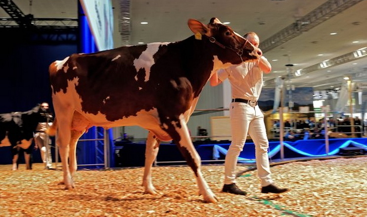 Міжнародна виставка EuroTier дала новий поштовх розвитку тваринництва