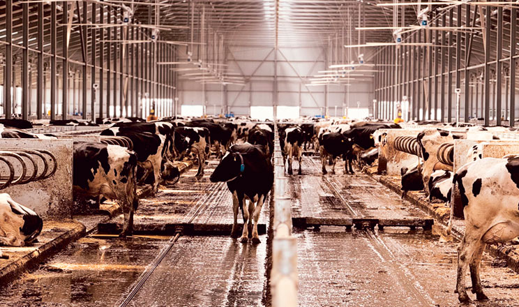 Відповідальність, сервіс і надійність — необхідні якості генетичної компанії