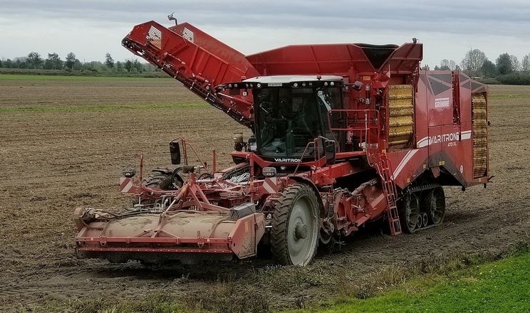 Grimme випробовує прототип Varitron із більшим бункером