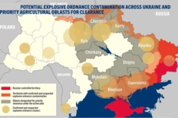 Дослідники назвали основні загрози українського плодоовочевого сектору 