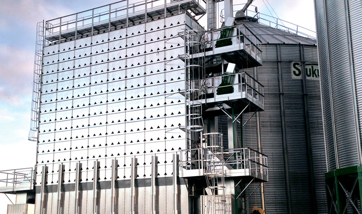 Сушити кукурудзу зерносушаркою економічно доцільніше, ніж досушувати врожай в полі