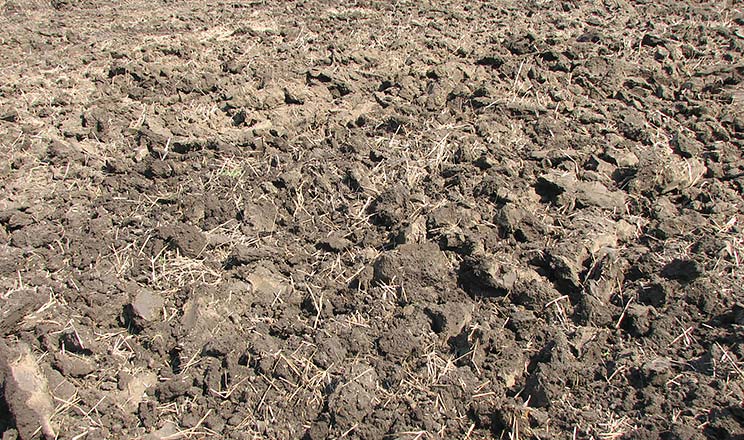 Стан ґрунтів в Україні потребує впровадження державної цільової програми раціонального використання та охорони земель