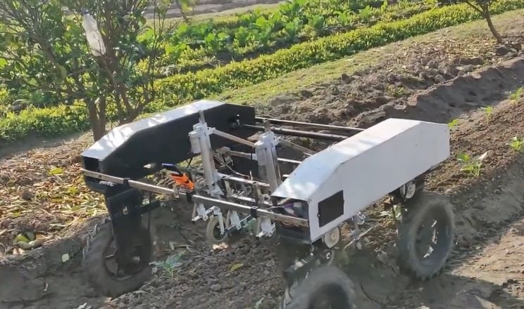 «Марсоход» допомагає вирощувати огірки на Хмельниччині