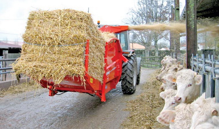 Сіно ‒ природний корм для корови