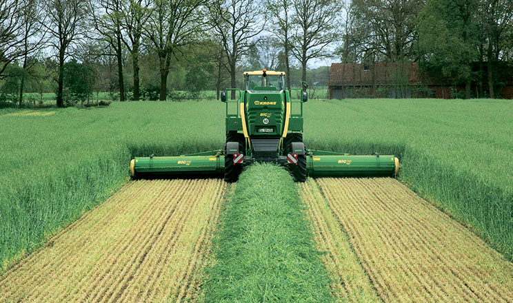 Продуктивність і технологічність скошування трав є головними критеріями заготівлі якісного зеленого корму