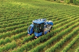 New Holland дав дворічну гарантію на виноградні комбайни та трактори Braud