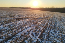 Загрозливих явищ для перезимівлі озимих не фіксували