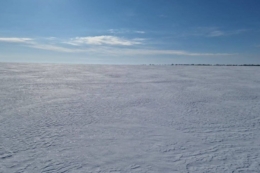 Наступної доби найхолодніше буде на півночі Україні, до -15-20°С